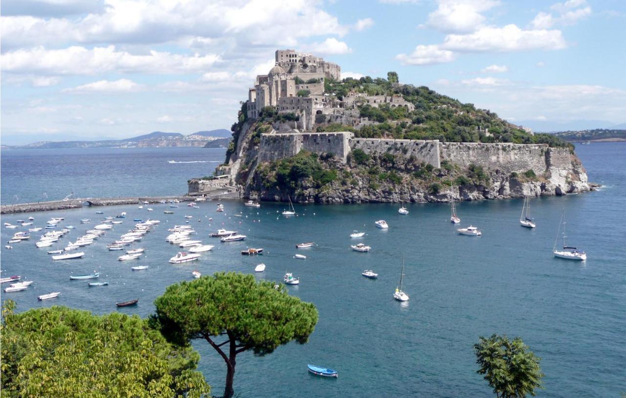Pet Friendly Home In Ischia With Wifi ภายนอก รูปภาพ
