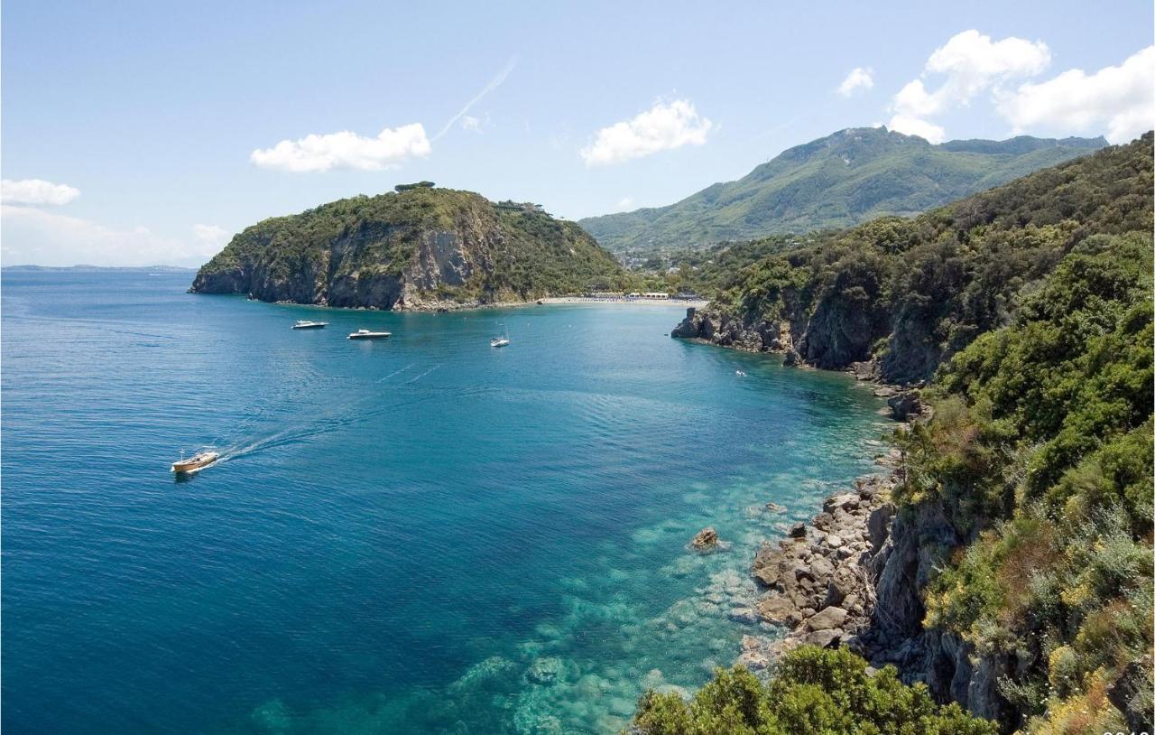 Pet Friendly Home In Ischia With Wifi ภายนอก รูปภาพ